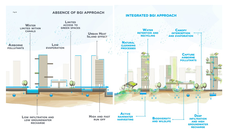 Sustainable Urbanization: The Role of Blue-Green Infrastructure